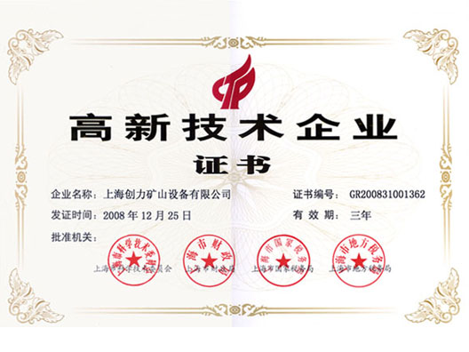 上海维加斯获得上海高新技术企业资格(图1)